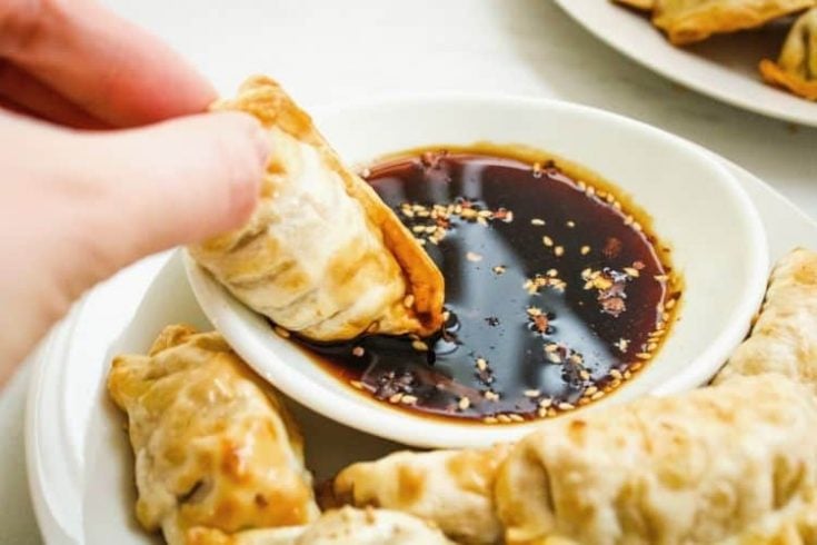 Dipping Air Fryer Dumpling in Sauce on a white plate
