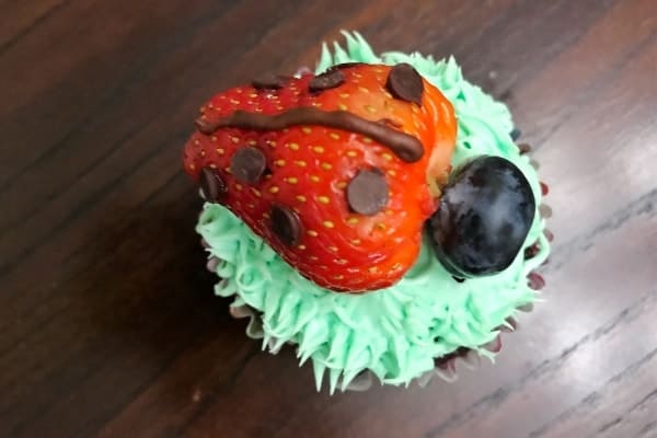 Ladybug Cupcake on a brown table