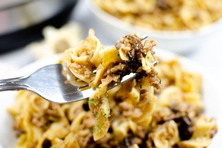 Closeup on beef stroganoff on a fork