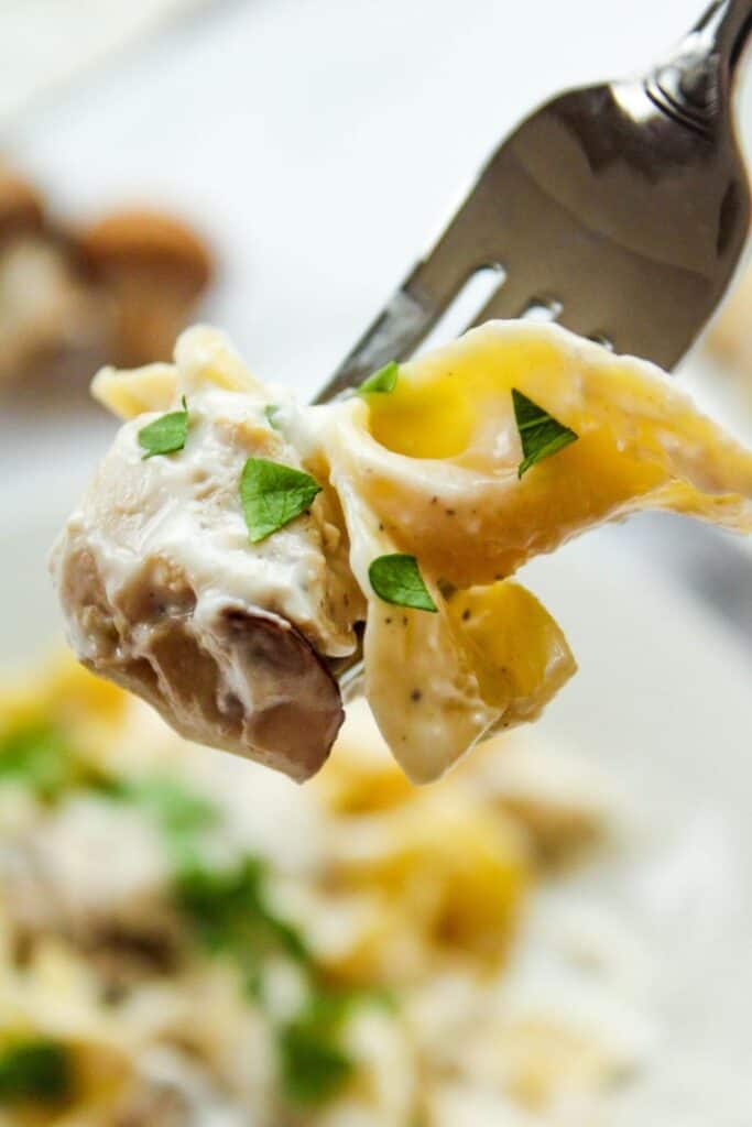 Closeup of chicken stroganoff bite on a fork