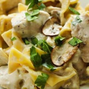 Closeup of chicken stroganoff on a white plate with fresh mushrooms and parsley on top