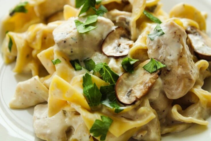 Closeup of chicken stroganoff on a white plate with fresh mushrooms and parsley on top