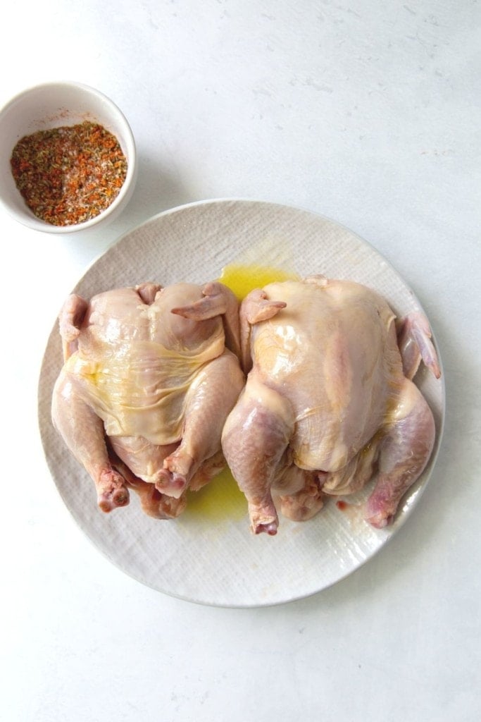 Freidora de aire Cornish Hen Easy Freidora de aire Cornish Hen Easy