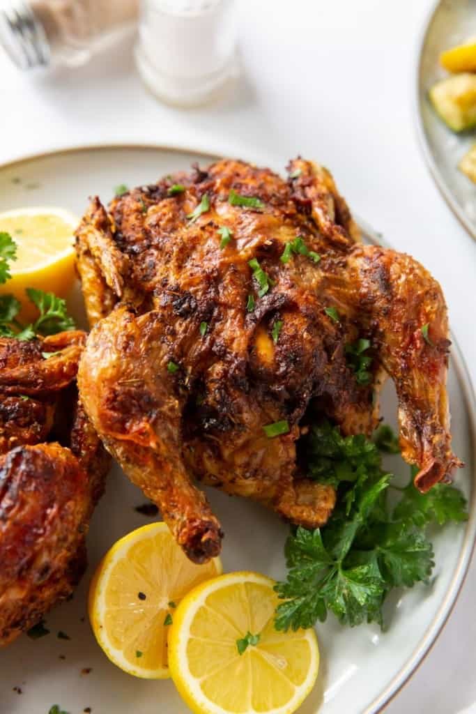 Freidora de aire Cornish Hen Easy Freidora de aire Cornish Hen Easy