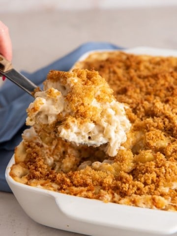 Mac and cheese with cream cheese prepared in casserole dish