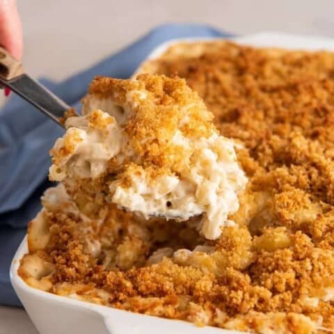 Mac and cheese with cream cheese prepared in casserole dish