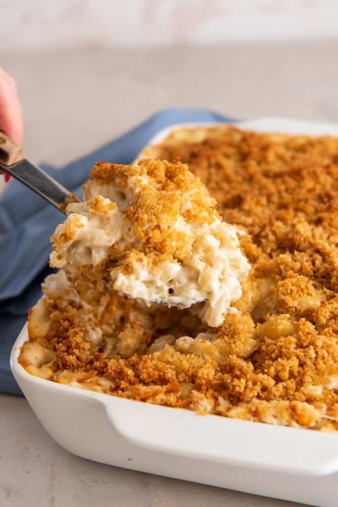 Mac and cheese with cream cheese prepared in casserole dish