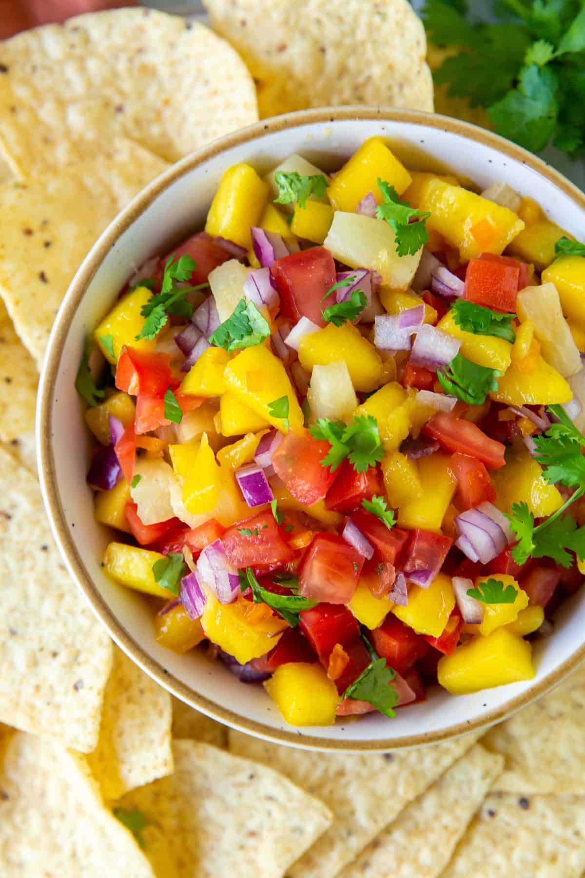 Overhead view of the salsa in a serving bowl with tortilla chips around it.