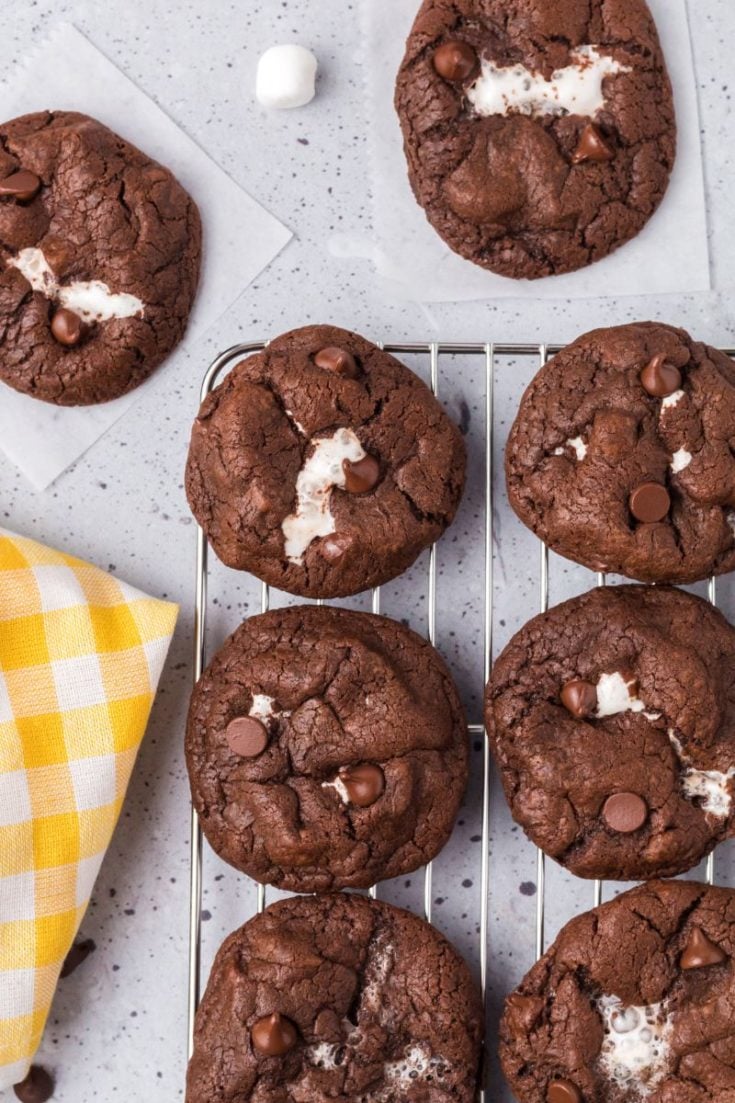 several double chocolate chip marshmallow cookies