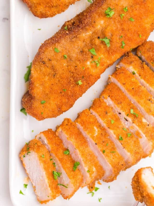 Air Fryer Main Dishes Archives Everyday Family Cooking