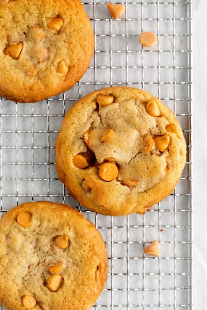 closeup of butterscotch chip cookies