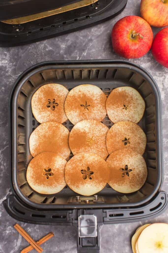 cinnamon on apple slices