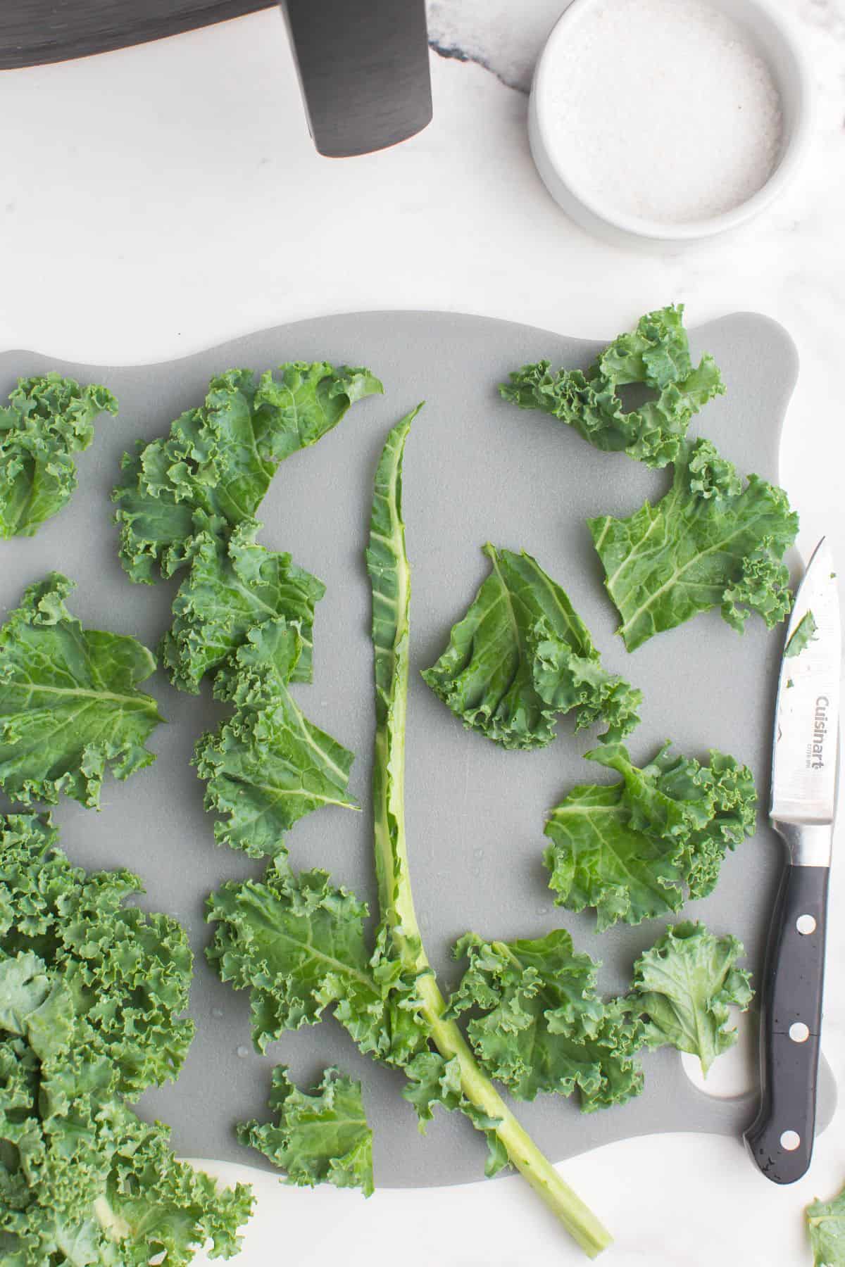 Curly kale being cut up into pieces with the stem removed.