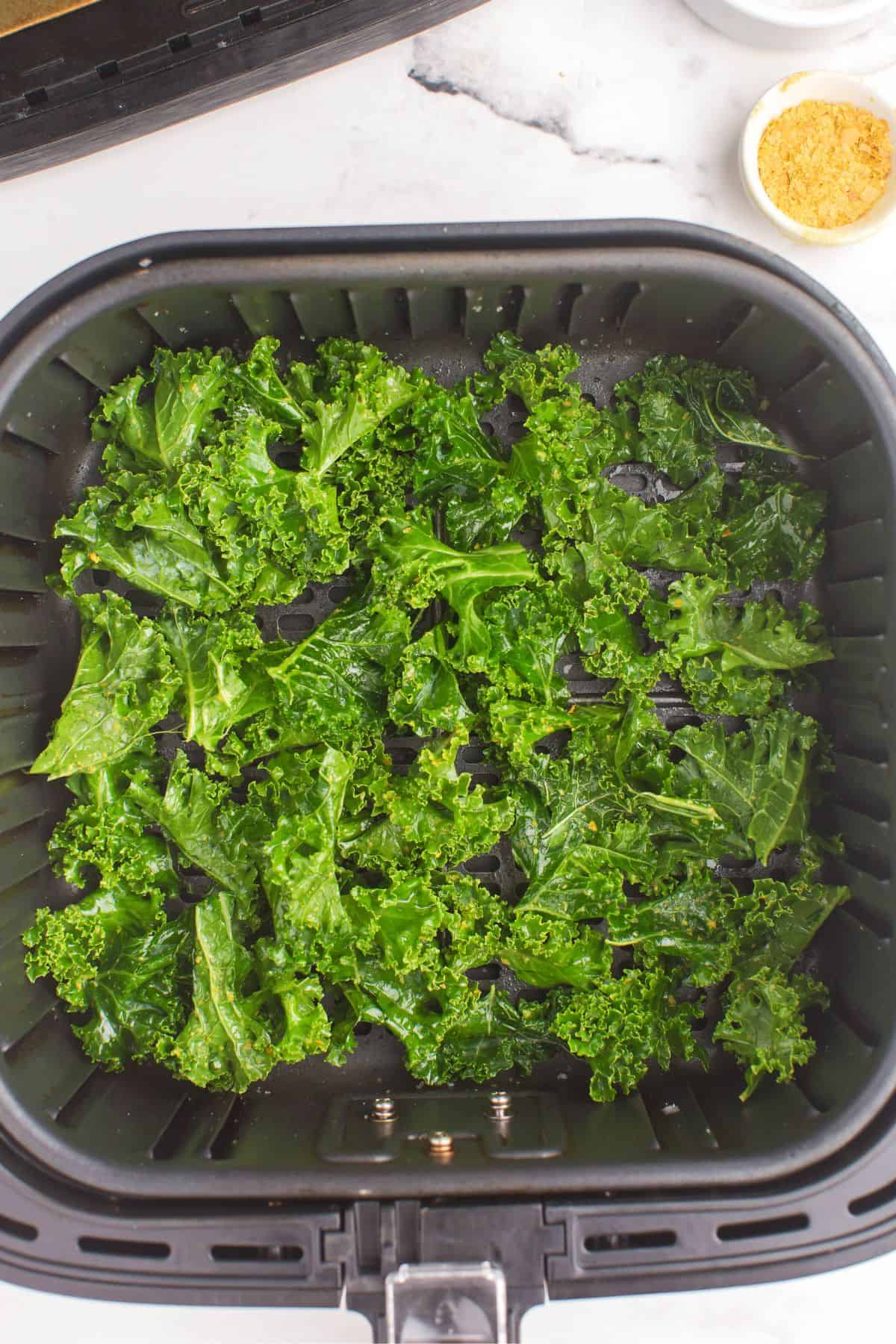 Kale chips in the air fryer about to be air fried.