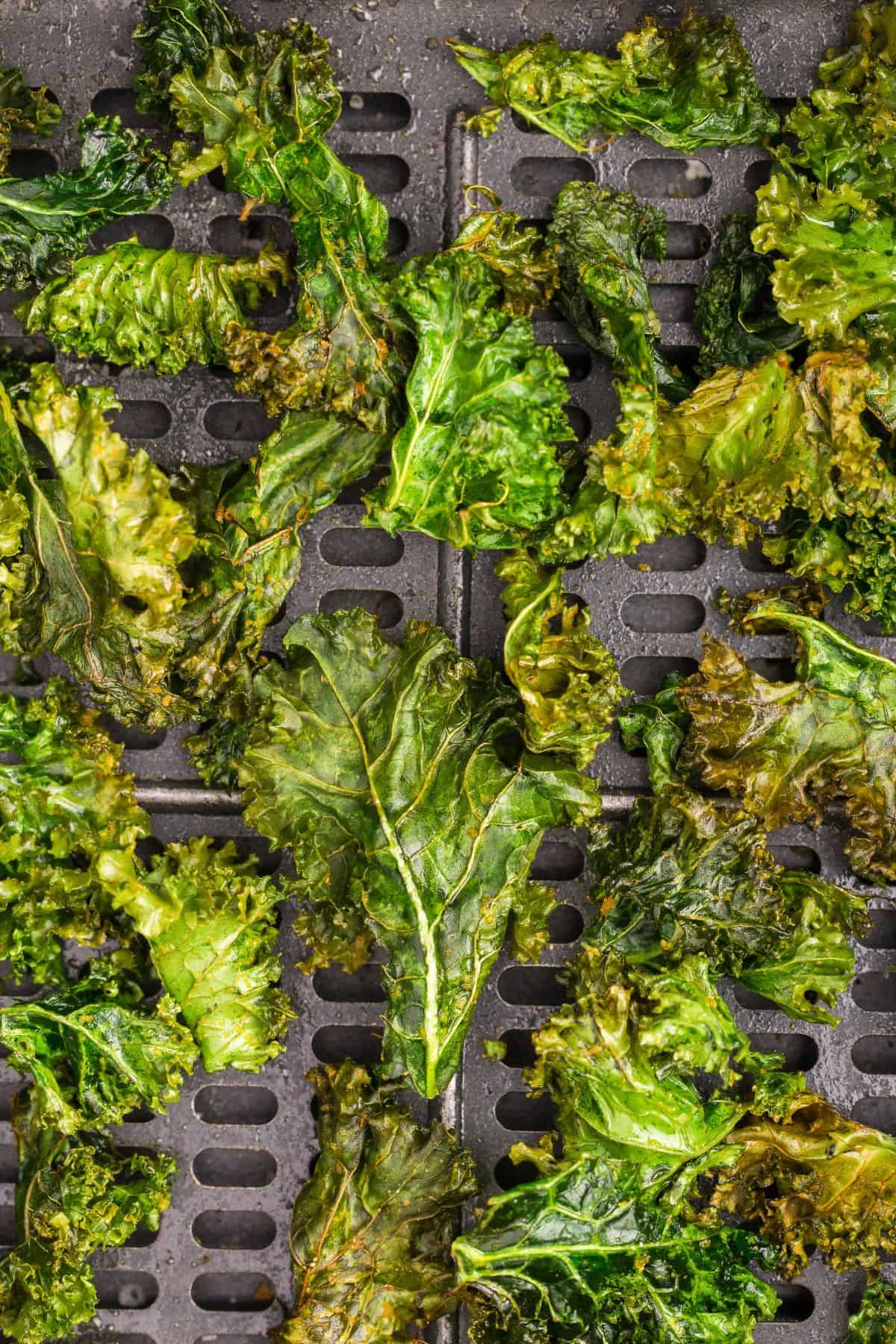 Close up of the air fryer kale chips to see the crispy edges.