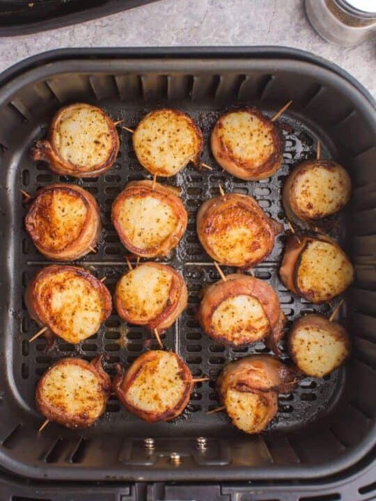 Air Fryer Main Dishes Archives Everyday Family Cooking