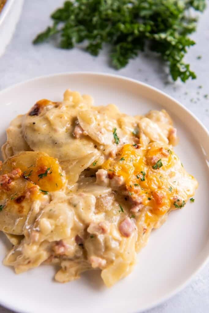 plate with scalloped potatoes