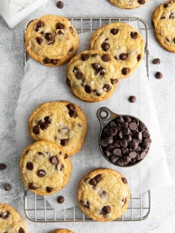 chocolate chip cookies ready to serve