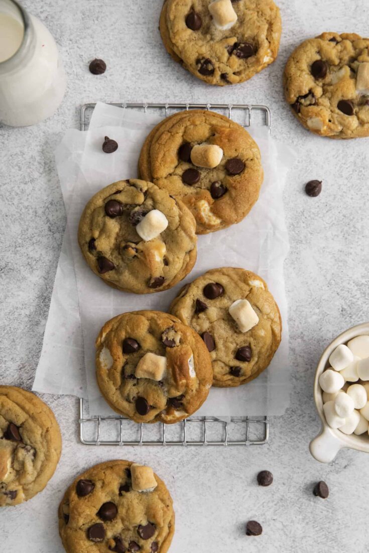 marshmallow chocolate chip cookie son wire rack