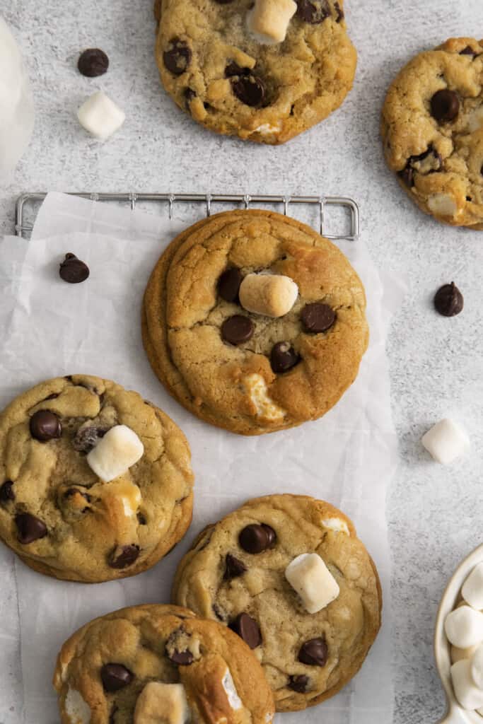 closeup of chocolate chip cookies