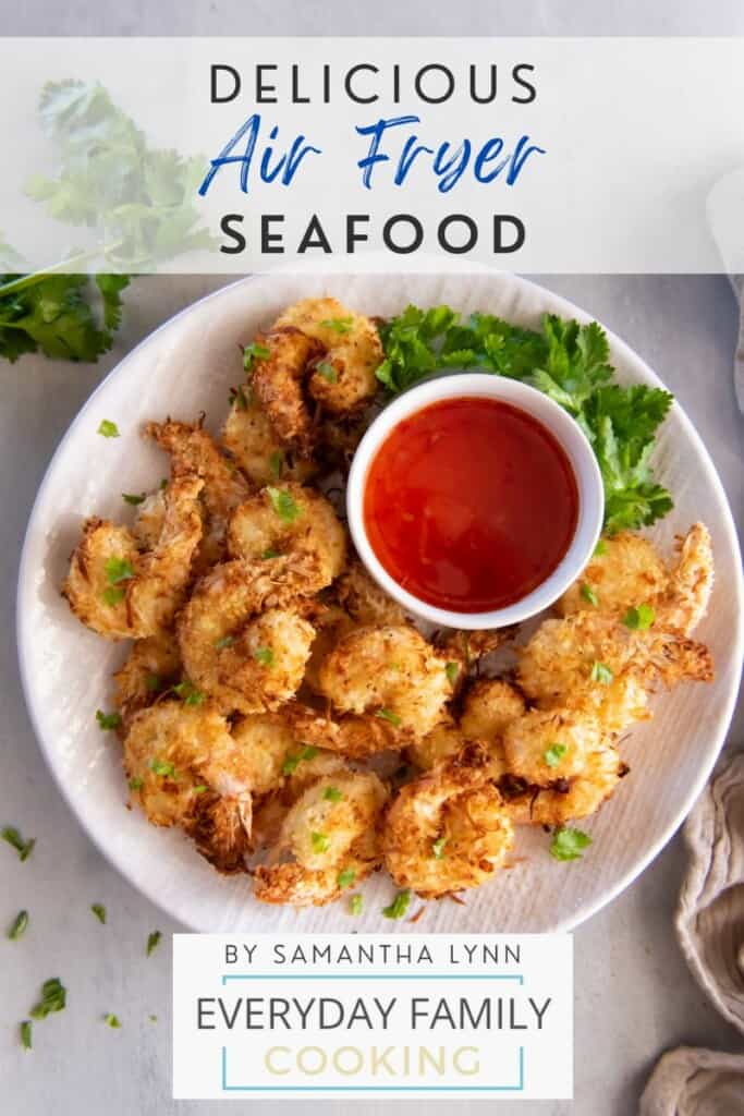 Air Fryer Seafood Recipes ebook cover