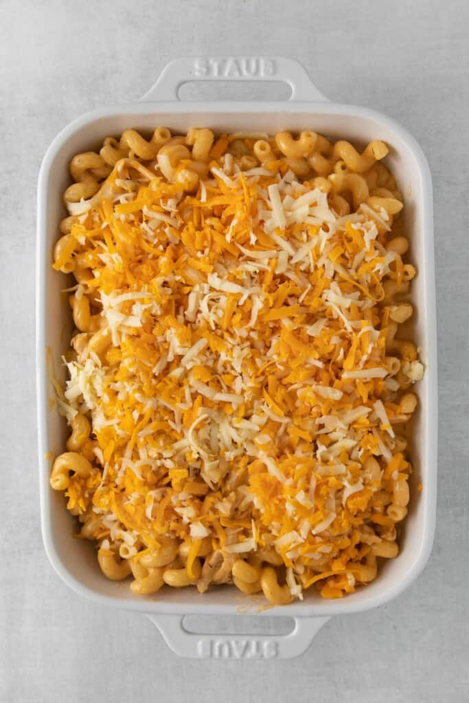 casserole dish with noodles and cheese