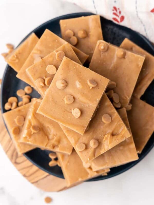 overhead plate with pieces of peanut butter fudge