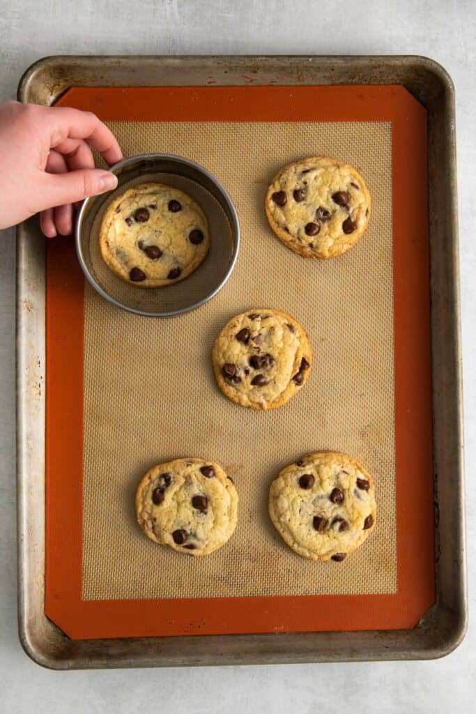 Chocolate chip cookies made without brown sugar baked on a baking sheet and using a circular cookie cutter to make the cookies a perfect circle.