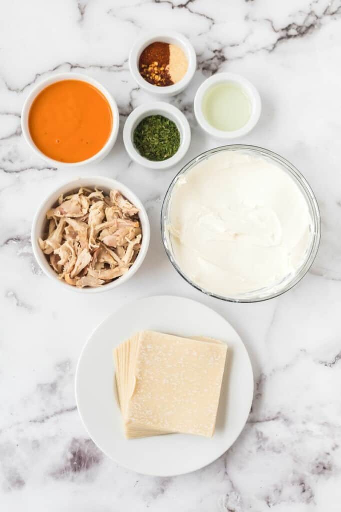 ingredients to make chicken wontons