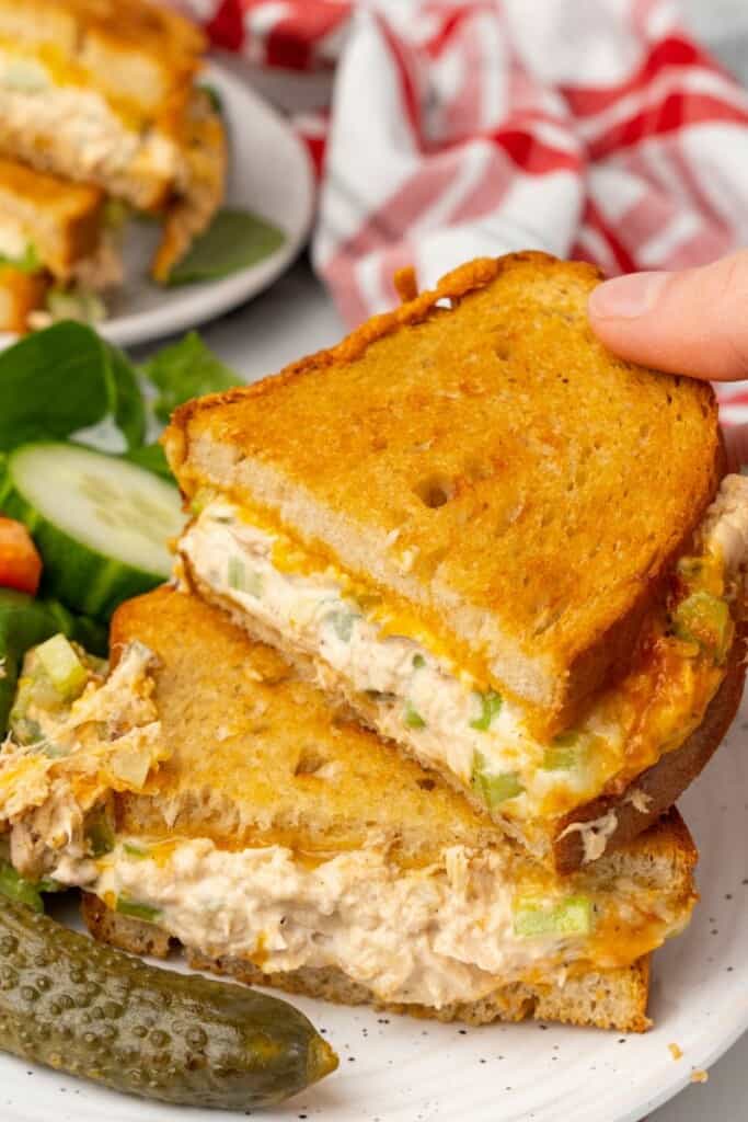 ready to serve air fryer tuna melt