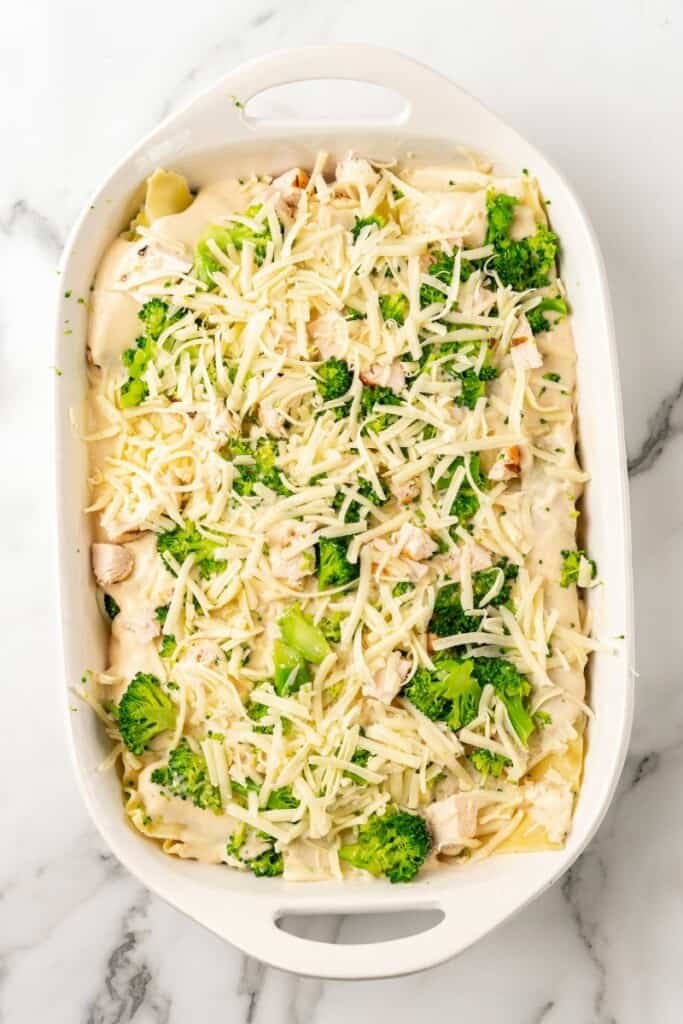 Chicken and Broccoli Pasta layered in the bottom of a white 9x13 casserole dish ready to be baked.