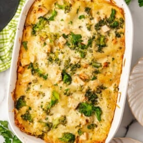 Baked chicken and broccoli lasagna in a white 9x13 casserole dish.