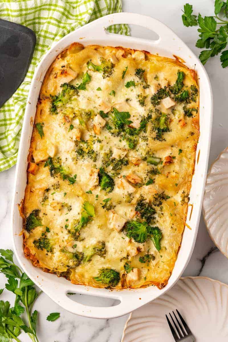 Chicken and Broccoli Lasagna Everyday Family Cooking