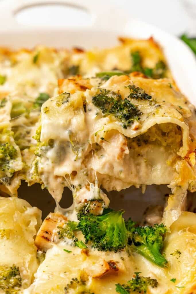 Closeup view of a scoop of chicken and broccoli casserole being lifted out of casserole dish.