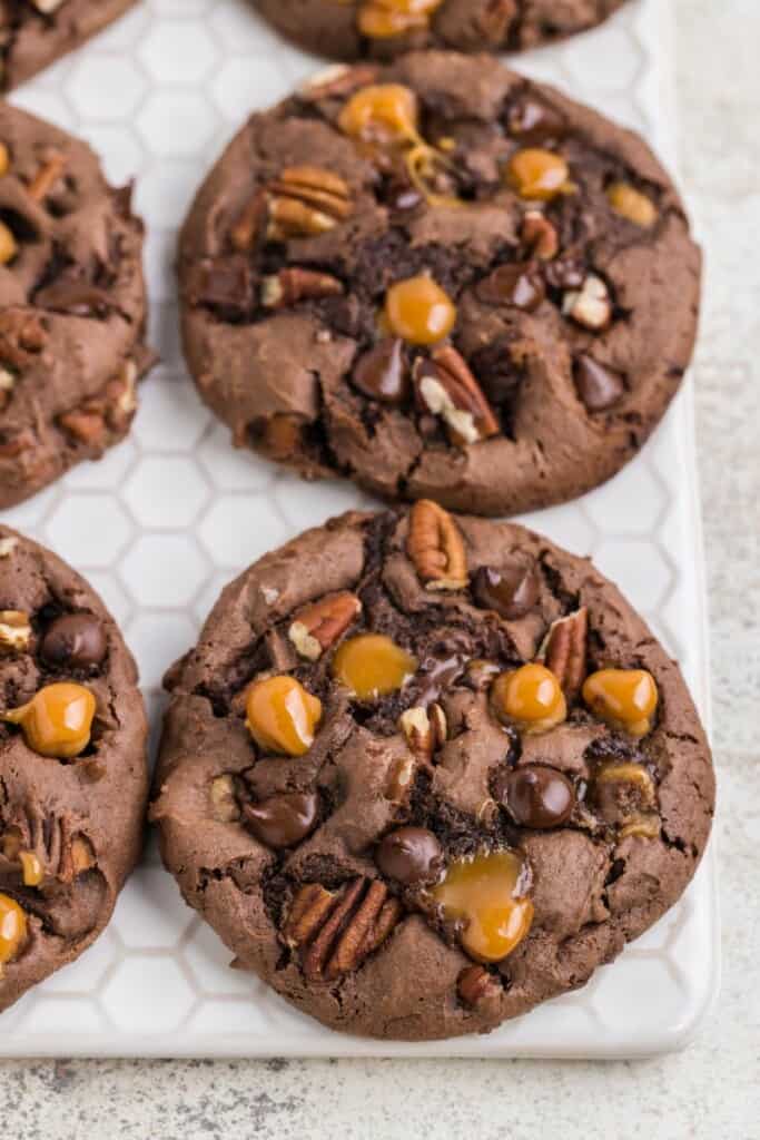 Close up view of two baked turtle cookies.