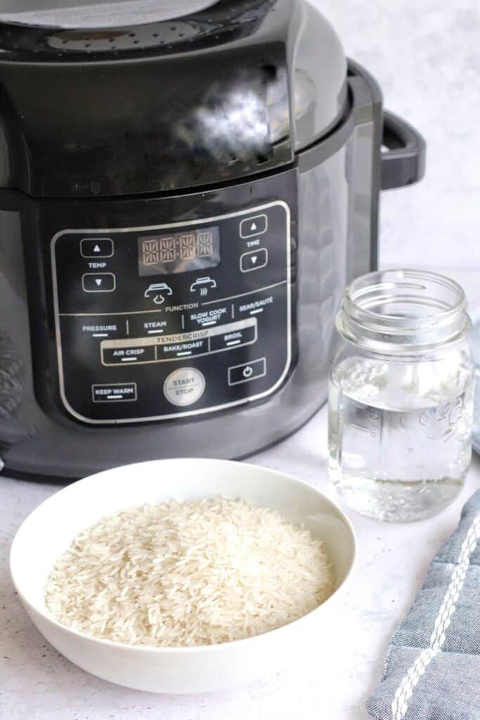 Ingredients needed to make Ninja Foodi rice: white rice and water.