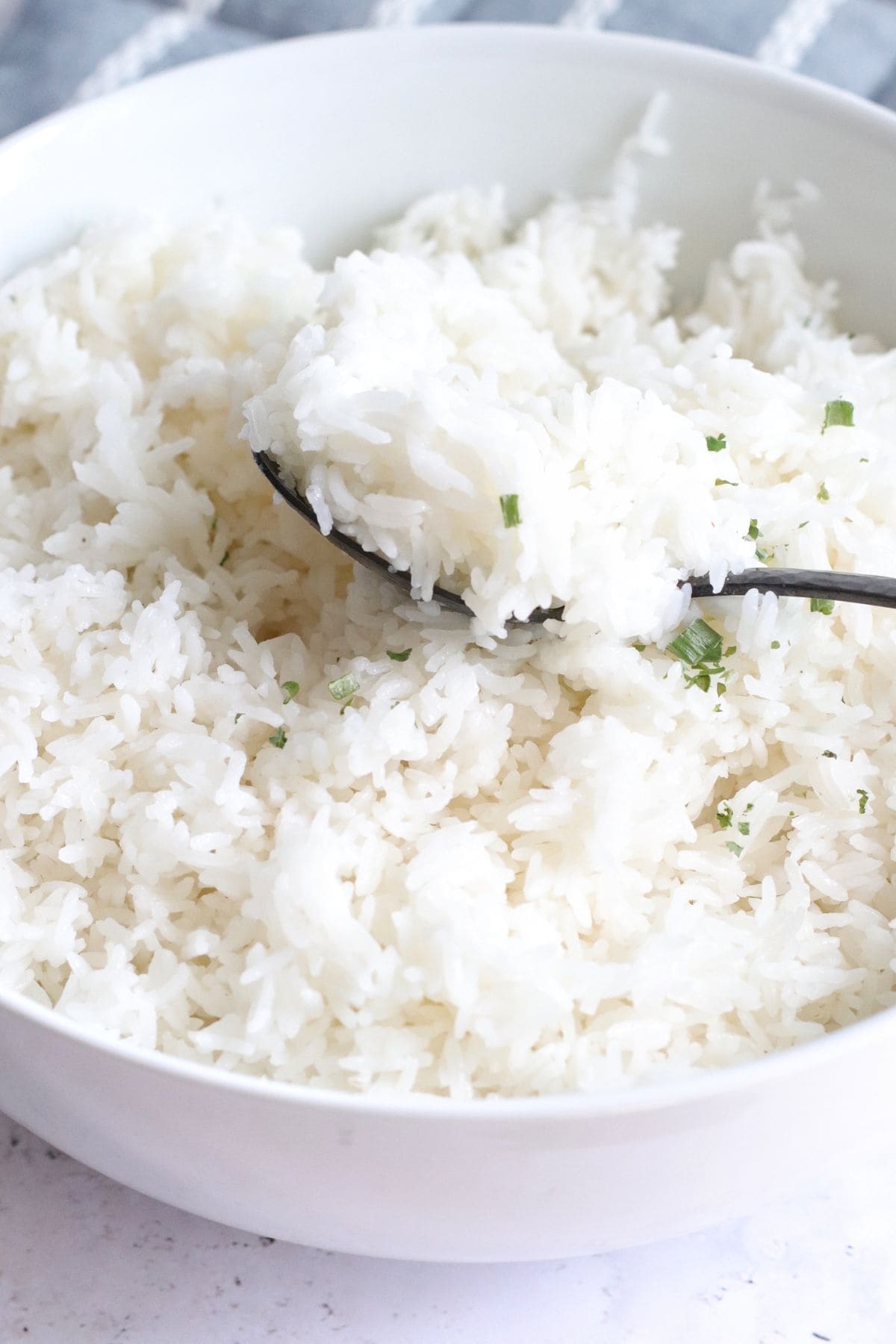 Fluffy Ninja Foodi Rice | Everyday Family Cooking