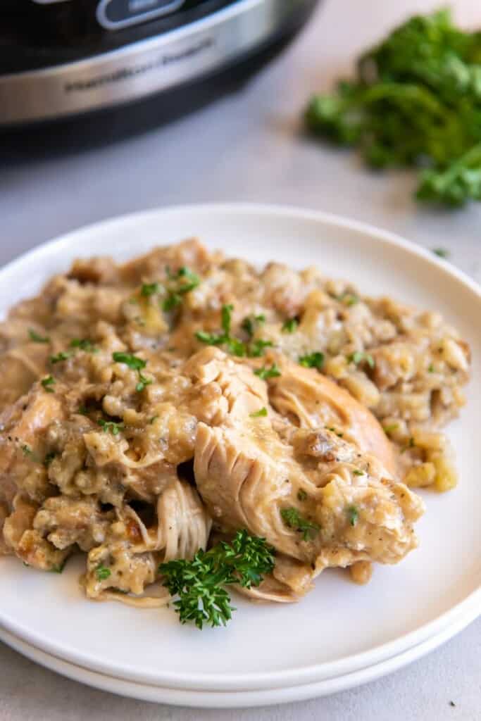 Closeup view of chicken and stuffing on an off white plate.