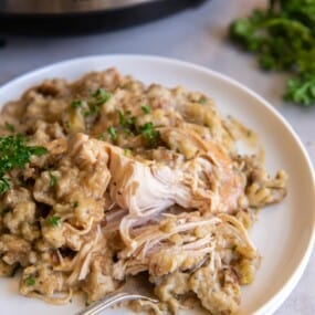 Chicken and stuffing on a plate with a fork holding a bite.