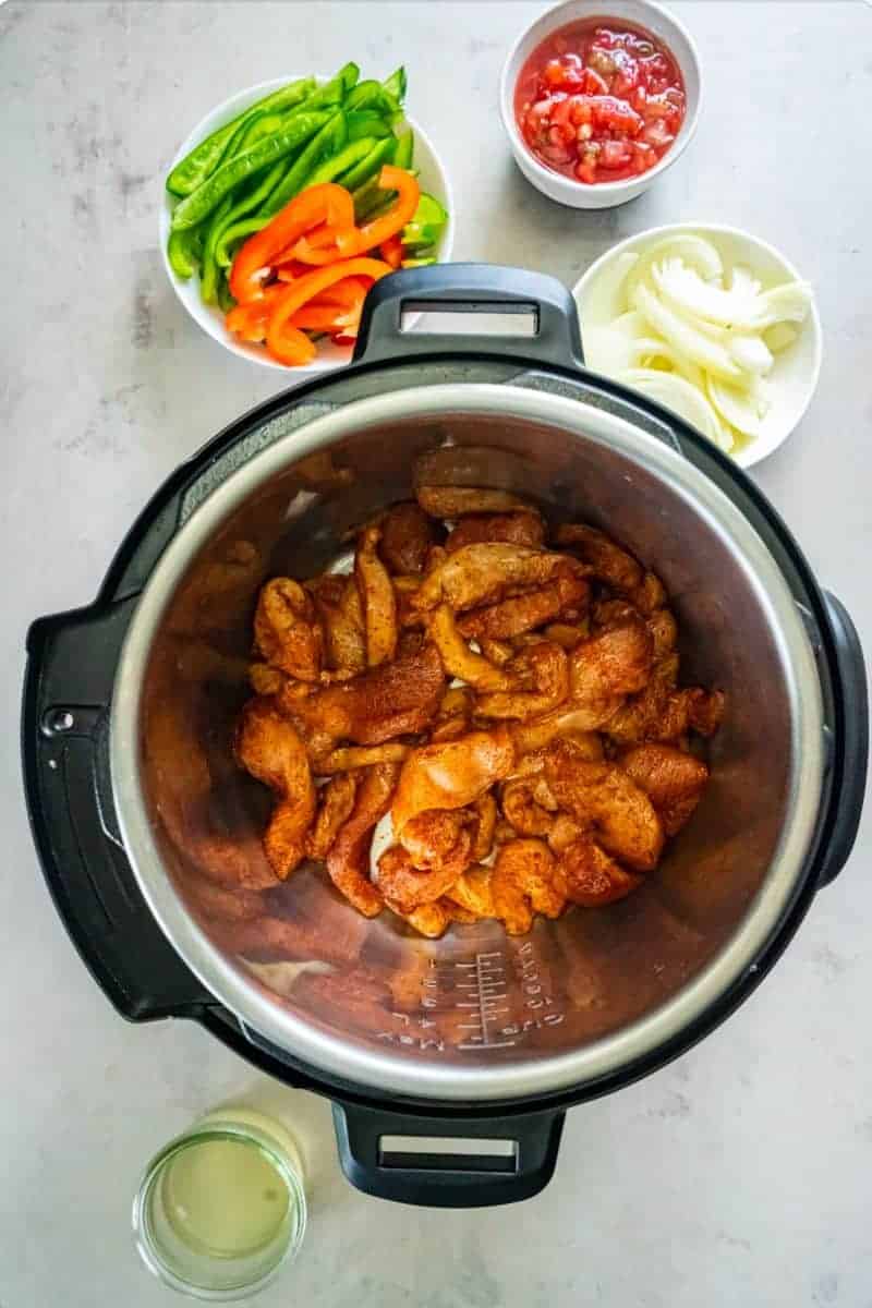 Seasoned chicken strips resting in the bottom of an Instant Pot.