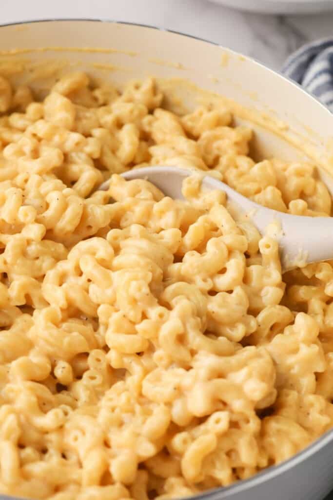 Closeup view of a spoon with prepared macaroni and cheese.