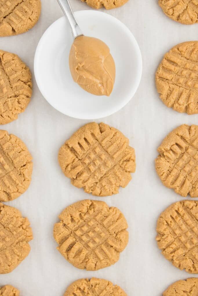 baked peanut butter cookies on parchment paper with a spoon holding a bite of peanut butter.