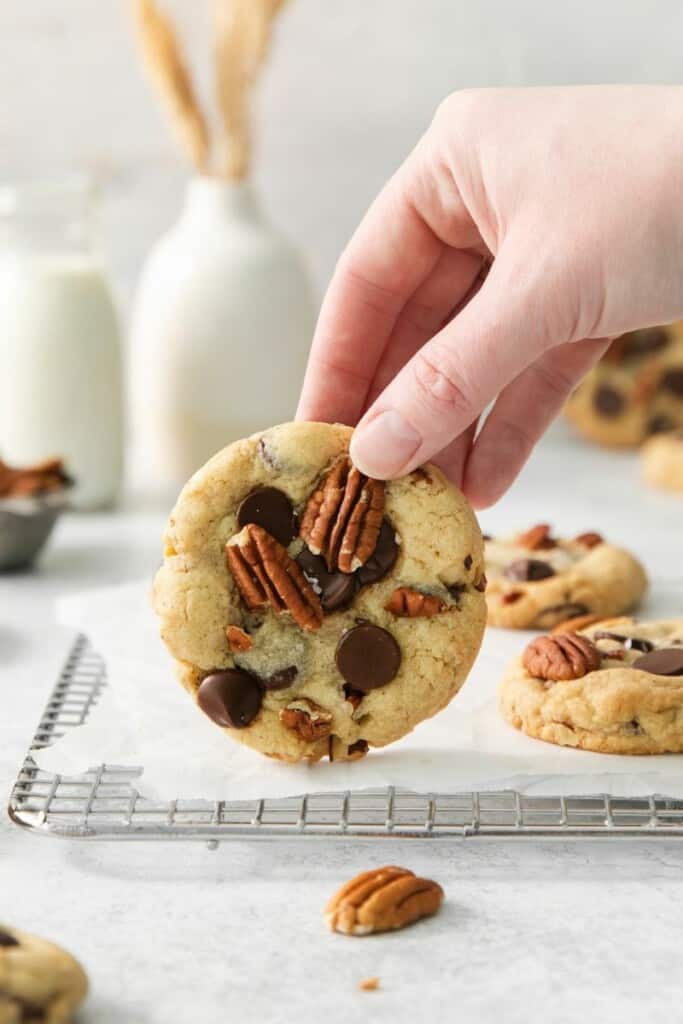 A hand holding a pecan chocolate chip cookie.