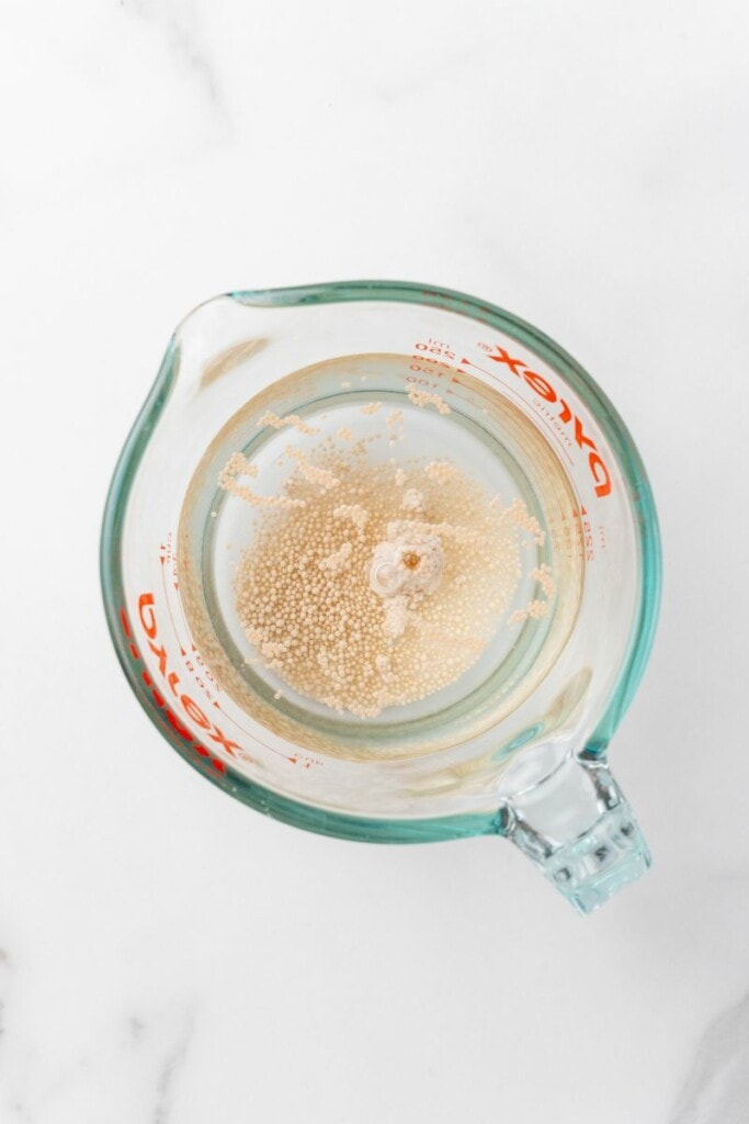 Warm water, sugar and yeast combined in a measuring cup.