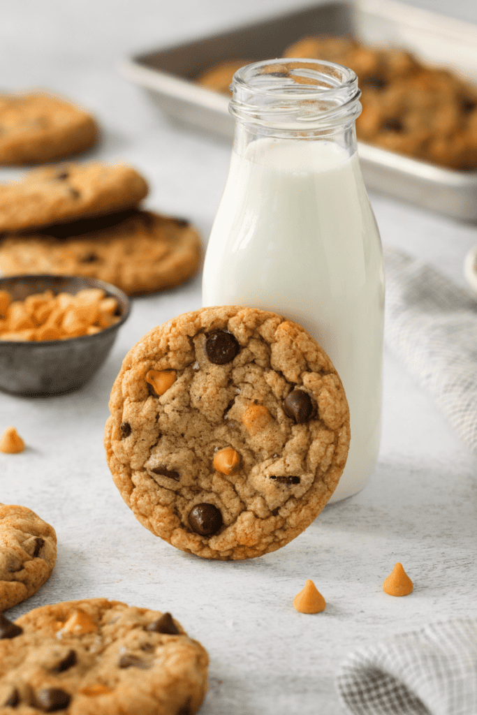 A chocolate chip butterscotch cookie propped against a small milk jug with additional cookies in the background.