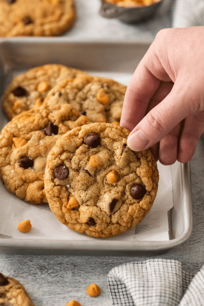 A hand holding up a chocolate chip butterscotch cookie in a plate with additional cookies.