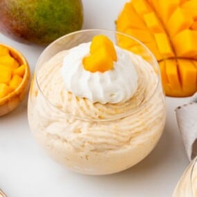 A single serving of mango mousse in a dessert dish.