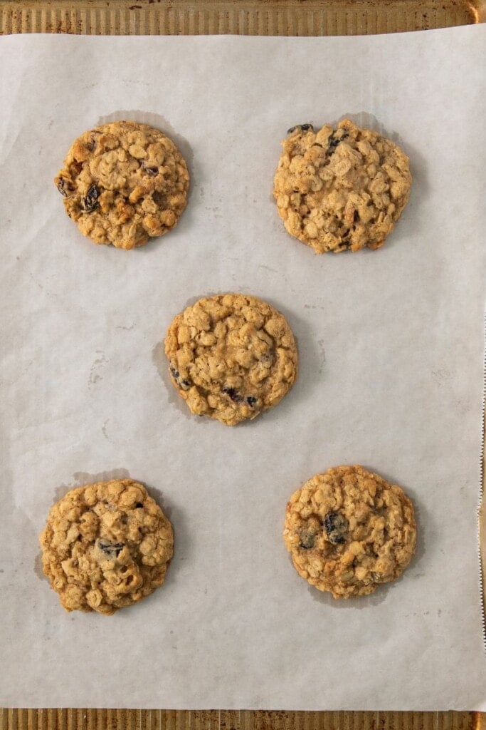 baked cranberry and walnut oatmeal cookies on baking sheet.