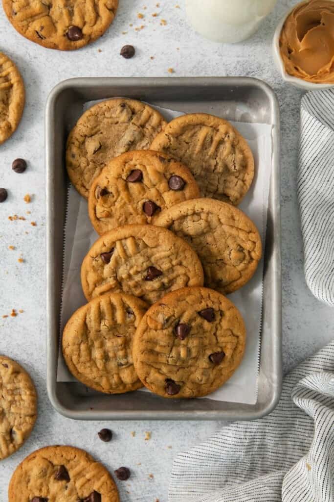 Seven baked chocolate chip peanut butter cookies on a baking sheet.