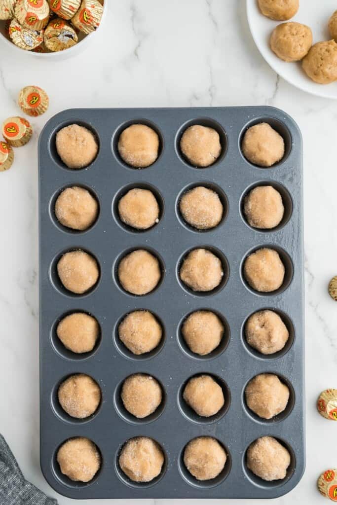 rolled cookie dough balls in a cookie sheet